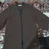 پالتوزنانه