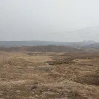 چند چوپان لازم داریم