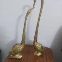 درنا برنجی