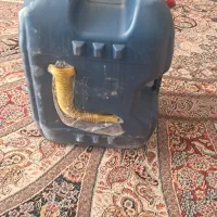 بشکه بیست لیتری سالم ونو فروش فوری بعلت کمبود جا|ظروف نگهدارنده، پلاستیکی، یک‌بارمصرف|شاهین‌شهر, نسیم ۵|دیوار