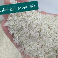 برنج عنبربو درجه 1 در 2 نوع عالی.|خوردنی و آشامیدنی|شوشتر, |دیوار
