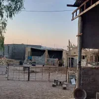 فروش دامداری|فروش خانه و ویلا|کویرات, |دیوار