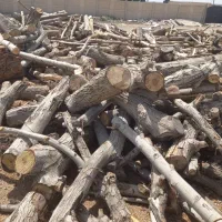 خرید چوب ضایعات میوه