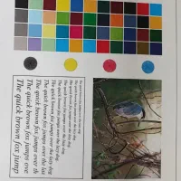 ریسو گراف EZ220 در حد نو و کپی رنگی کونیکا 452|پرینتر، اسکنر، کپی، فکس|تهران, جیحون|دیوار