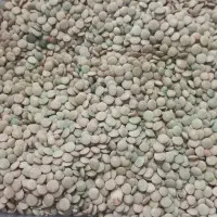 فروش نخود و عدس  هر دو تمیز و درجه یک