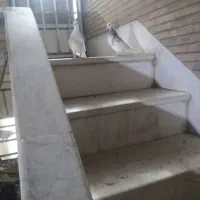 کفتر|پرنده|قم, باغ پنبه|دیوار