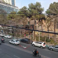 ۱۶۰متر تجاری پاسداران ۴دهنه ۲نبش|اجارهٔ مغازه و غرفه|تهران, پاسداران|دیوار