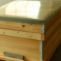 فروش تعدای کندو  زنبور با قیمت عالی