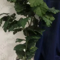 درختچه مصنوعی کاملا سالم