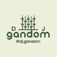 اجرای دیجی در مراسمات