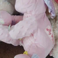 عروسک پولیشی