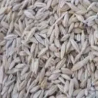 جوتمیز فروشی