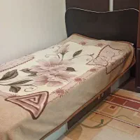 فروش تخت یک‌نفره ام‌دی‌اف|تخت و سرویس خواب|شیراز, شهرک امیر کبیر|دیوار