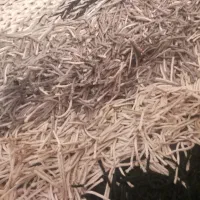 فرش شاگی چهار متری دست بافت هندی|فرش|زاهدان, |دیوار