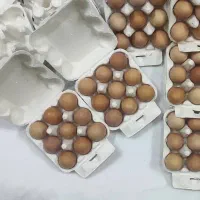 تخم مرغ محلی (تخم مرغ محلی زرده نارنجی)|خوردنی و آشامیدنی|قم, صدوق|دیوار