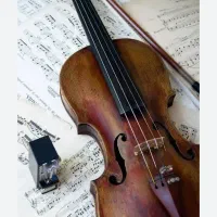 راهنمایی مربی ویلون