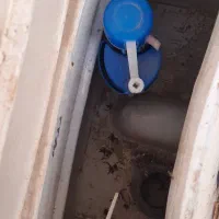 توالت فرنگی|لوازم سرویس بهداشتی|تربتحیدریه, بالا ولایت|دیوار