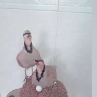 مجسمه وتندیس زیبا