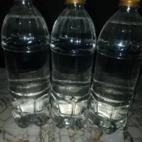 گلاب اصل خانگی