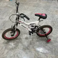 دو عدد دوچرخه
