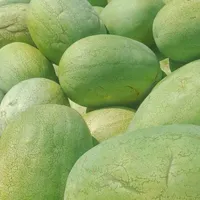 هندوانه وگوجه|خوردنی و آشامیدنی|رشت, بازار|دیوار