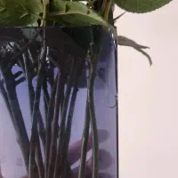 گلدان|گل مصنوعی|مشهد, شهید رضوی|دیوار