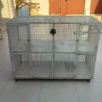 قفس پرنده|لوازم جانبی حیوانات|بندر ماهشهر, |دیوار