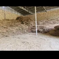 بهترین جارو در غرب