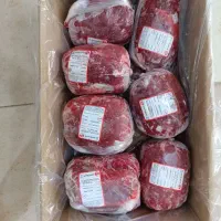 گوشوار اسکلت و تمامی قطعات موجود