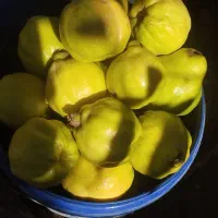 به کیلویی ۱۶۰