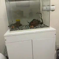 آکواریوم شرکتی فول تجهیزات|ماهی|تبریز, |دیوار