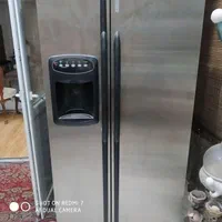 تعدادی گل و یخچال
