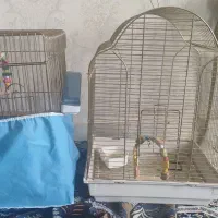 قفس پرنده|لوازم جانبی حیوانات|ملایر, |دیوار