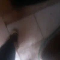 مگنت پراید کارباراتور|قطعات یدکی و لوازم جانبی|قم, شاه ابراهیم|دیوار