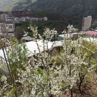 خانه اجاره ای پاوه،دوریسان، پشت مسجدجامع