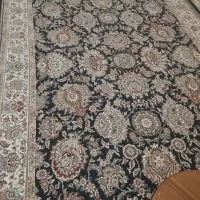 دوتخته فرش ۶متری|فرش|کبودرآهنگ, |دیوار
