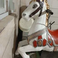 اسب سواری برای شهربازی سالم روشن|اسباب‌‌بازی|کاشمر, |دیوار