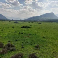 دنبال خونه هستم محدود ستارخان تا محمدرسولا