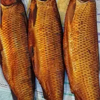 انواع ماهی دودی شمال|خوردنی و آشامیدنی|خلخال, |دیوار