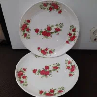 ظرف دیس بشقاب کاسه فلاکس