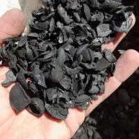 فروش کربن گردو