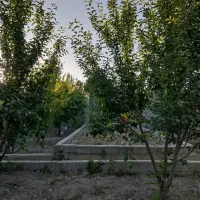 ۳۸۰مترباغ ویلاکاسبی*بحر۱۷م*زیرقیمت*پول لازم شهریار