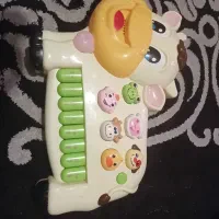 ارگ گاوی موزیکال