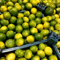 نارنگی تازه و خوشمزه + هایپر میوه گلچین|خوردنی و آشامیدنی|شاهدشهر, |دیوار