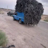 نوار تیپ
