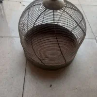 قفس دست سازگردترقه