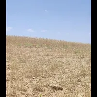 ۲۰هکتار زمین کشاورزی میخوام یک قطعه