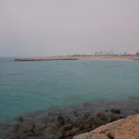 متقاضی همخونه شاغل و موجه