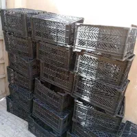 سبد میوه
