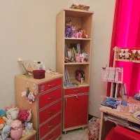 کتابخانه|کتابخانه، شلف، قفسههای دیواری|پردیس, شهرک صنعتی خرمدشت فاز ۷|دیوار